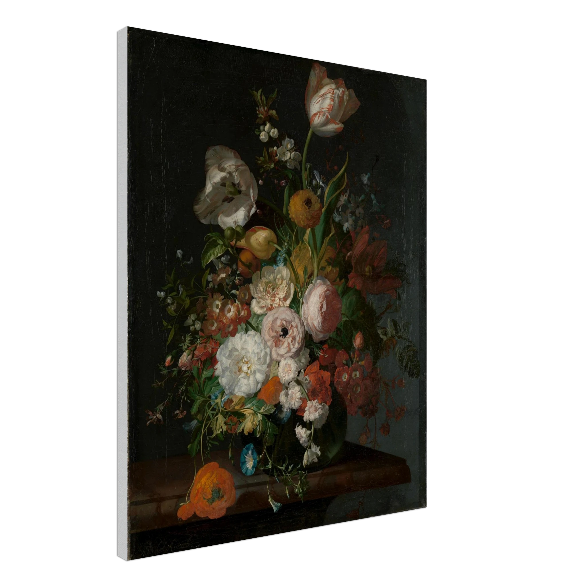 2c09ac5d-9bf2-43b9-bcc1-f3fafe38bfa9