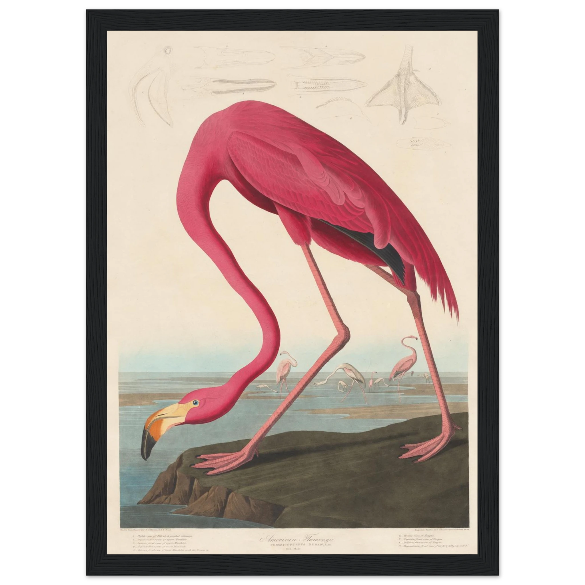 37e6e612-7997-44ab-8856-8189aa4ed8f8