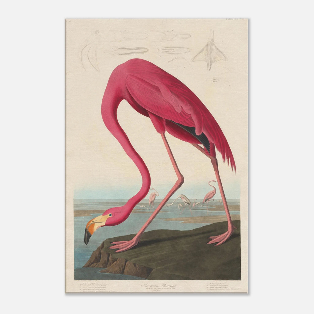 489e3e98-0624-44e0-9010-eff699a3bcef