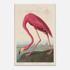 489e3e98-0624-44e0-9010-eff699a3bcef