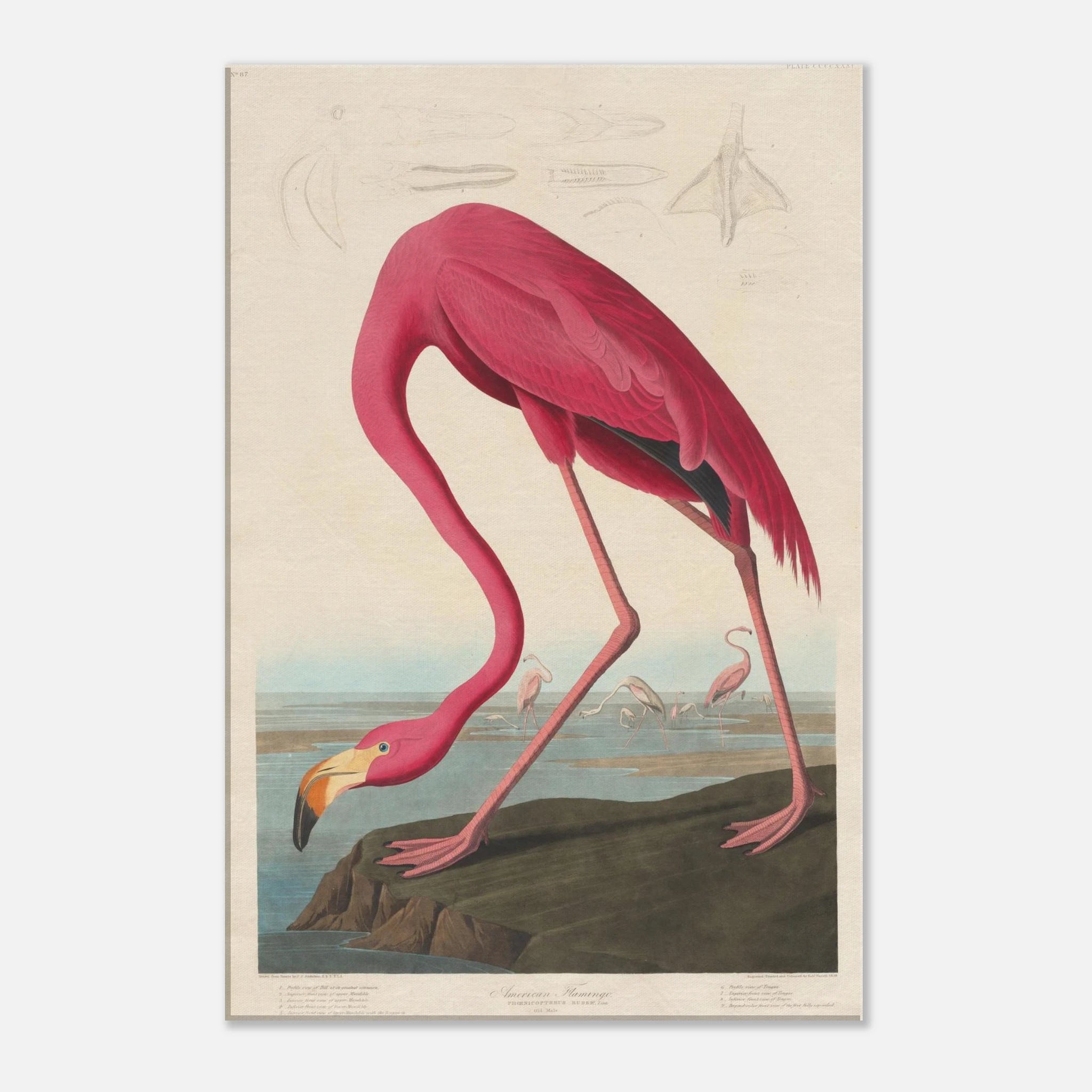 489e3e98-0624-44e0-9010-eff699a3bcef