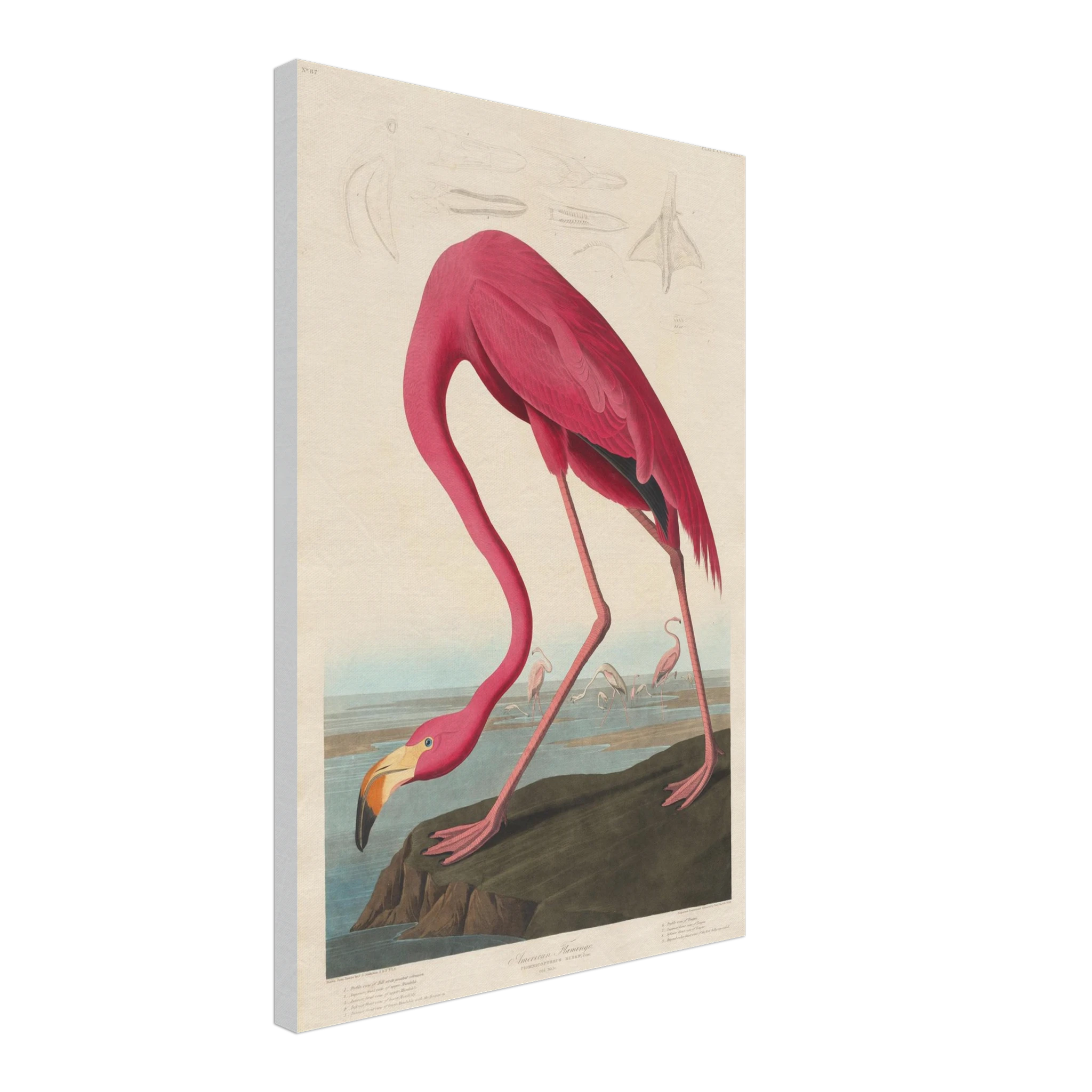 65a8a109-b0e8-4d7c-9c41-40cc44b2c6cf