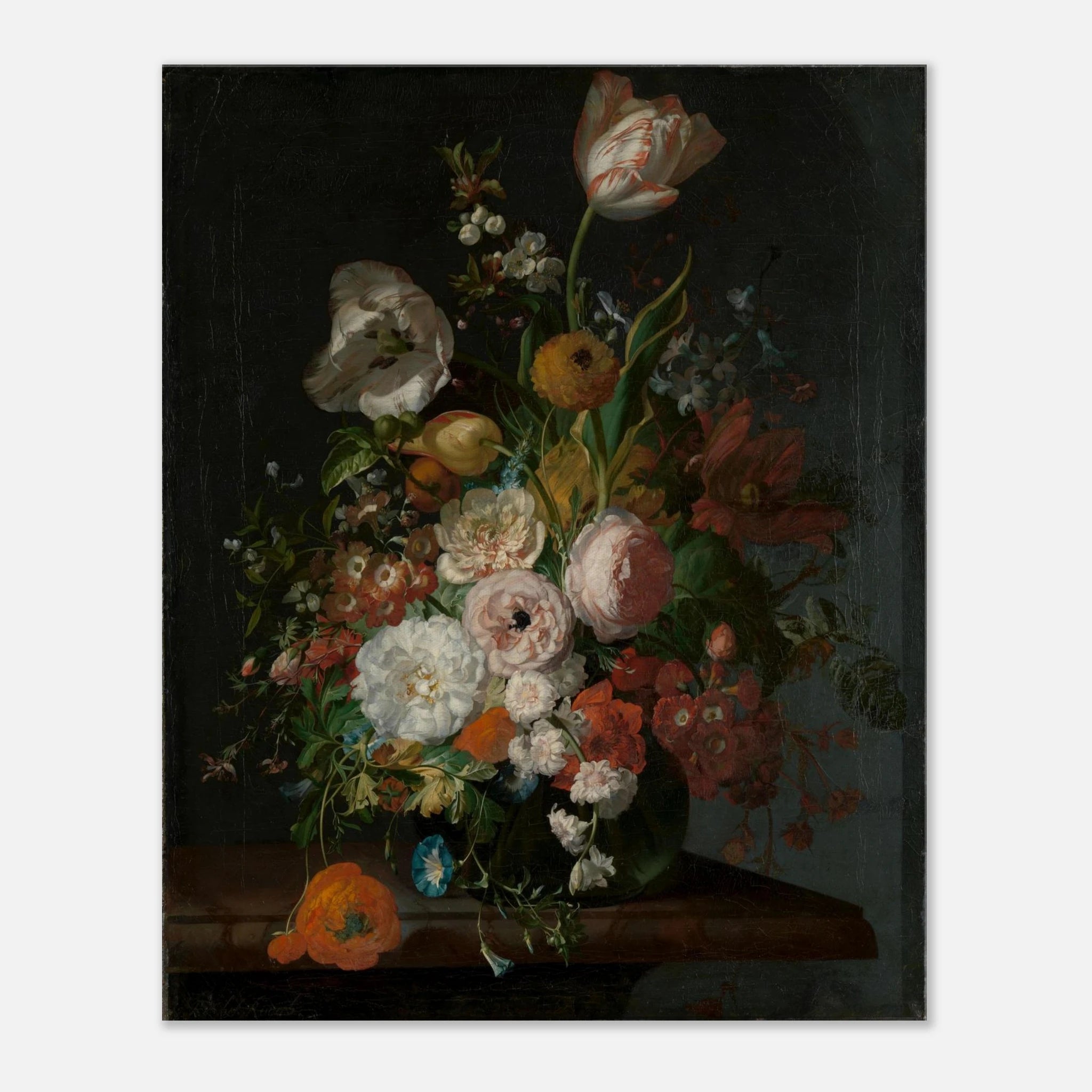 9efad31a-7b20-41e8-bf05-7ab92ba02814