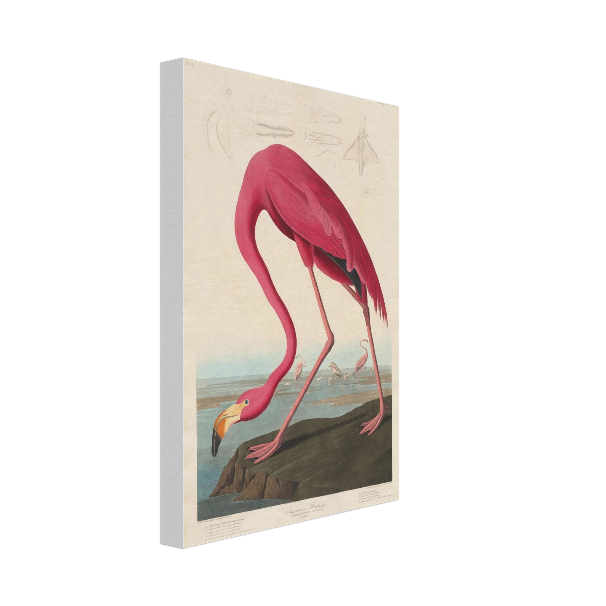 d8c8eb6e-9bd1-48c4-9124-ef59cca2e2f6